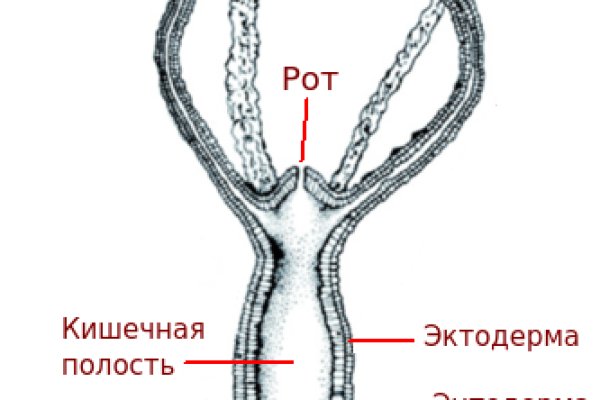 Vk8 at кракен рабочий