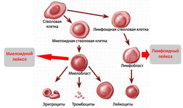 Кракен маркет плейс